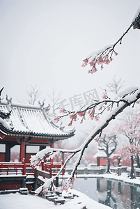 梅花摄影照片_中式庭院厚厚积雪摄影图4