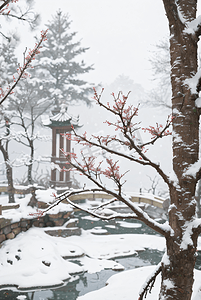 冬季庭院外雪景风光图5高清摄影图