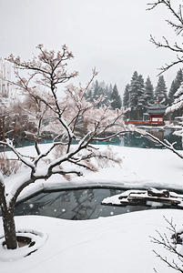 中式庭院厚厚积雪摄影图9