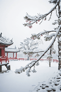 梅花摄影照片_冬天中式庭院厚厚积雪摄影图0