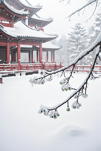 中式庭院厚厚积雪摄影配图