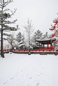 中式庭院冬季户外雪景图10图片