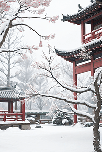 中式庭院厚厚积雪摄影配图5