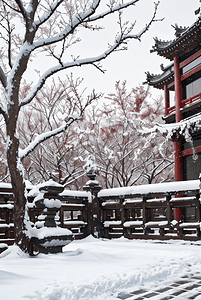中式庭院户外树木积雪图2图片
