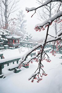 冬天中式庭院厚厚积雪摄影图8