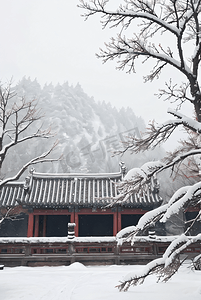 中式庭院厚厚积雪摄影图6