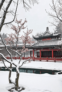 中式庭院厚厚的积雪摄影图2