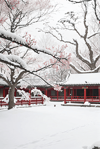冬天中式庭院厚厚积雪摄影图3