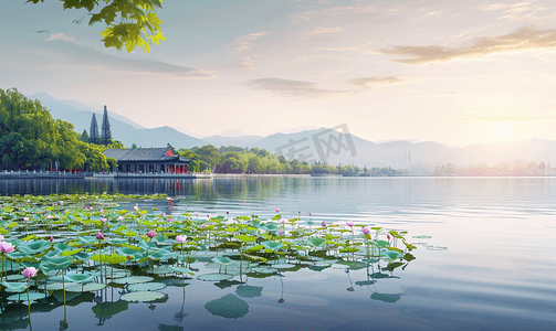 中国的西湖风景