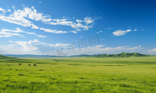 内蒙古大草原天然牧场