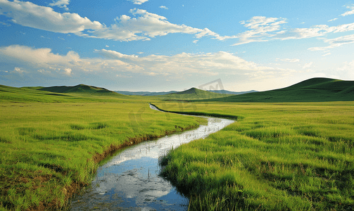 草原牛摄影照片_内蒙古大草原天然牧场