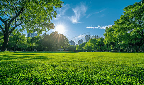 树木绿草摄影照片_阳光下的城市公园美景