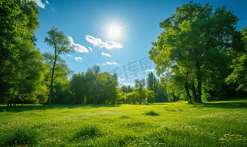 阳光灿烂的日子中夏公园