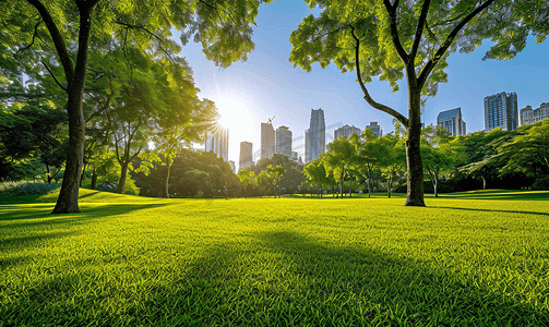 春天绿色美景摄影照片_阳光下的城市公园美景