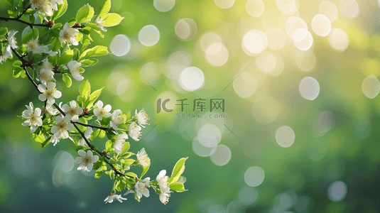 阳光意境背景图片_春天阳光下公园里树枝花朵开放的背景5