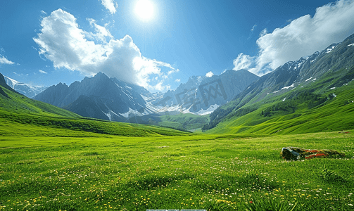 阿尔卑斯山鲜绿色的草地和白雪皑皑的山峰