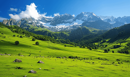 阿尔卑斯山鲜绿色的草地和白雪皑皑的山峰