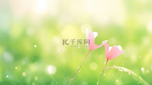 草地盛开粉色花朵清新背景15