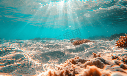 海底banner摄影照片_水下拍摄的沙质海底