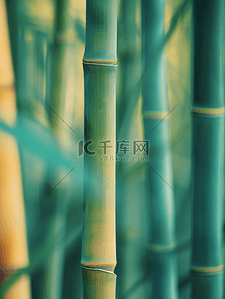 春天森林山上绿色竹子的背景图2