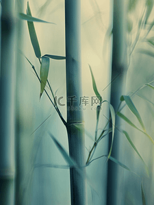 春天森林山上绿色竹子的背景图16