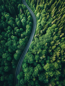 自驾游绿色旅游摄影照片_航拍蜿蜒道路与森林