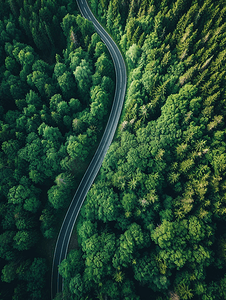 世界地球日背景摄影照片_航拍蜿蜒道路与森林