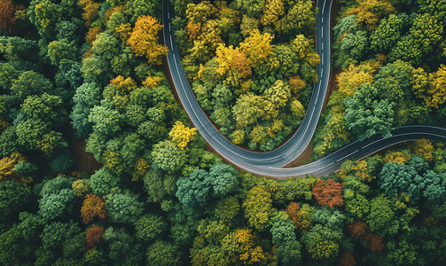 航拍蜿蜒道路与森林