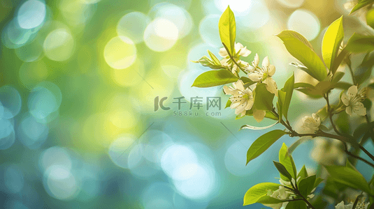 1图背景图片_春天朦胧唯美树枝上开花的图片背景图1
