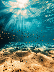 水下拍摄的沙质海底
