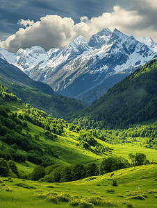 阿尔卑斯山鲜绿色的草地和白雪皑皑的山峰