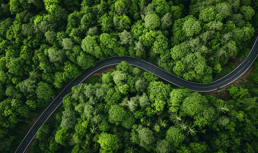 航拍蜿蜒道路与森林