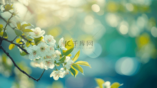 春天花朵开放背景图片_春天阳光下公园里树枝花朵开放的背景9