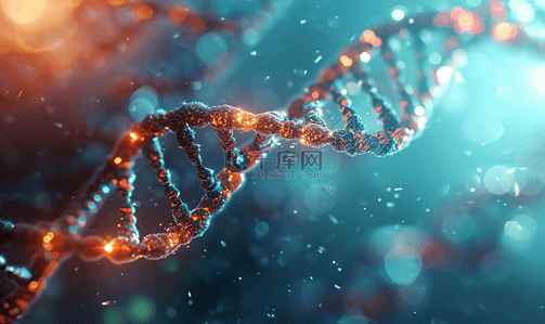 DNA染色体双螺旋结构3