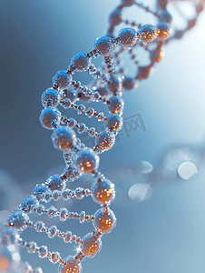 模型ai摄影照片_DNA染色体基因螺旋形生物科学