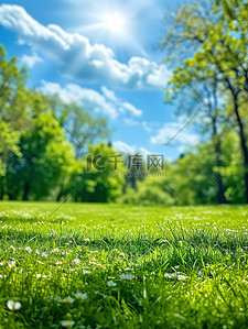 春天草地小草树木自然景色素材
