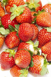 冬季新鲜草莓