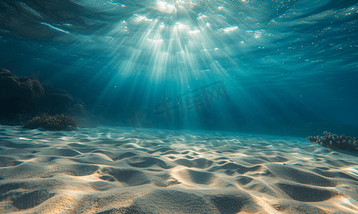 水下拍摄的沙质海底