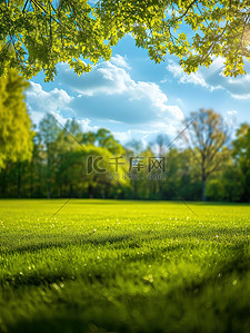 景色素材背景图片_春天草地小草树木自然景色素材