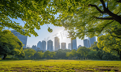 阳光下的城市公园美景