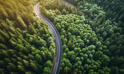 自驾游绿色旅游摄影照片_航拍蜿蜒道路与森林