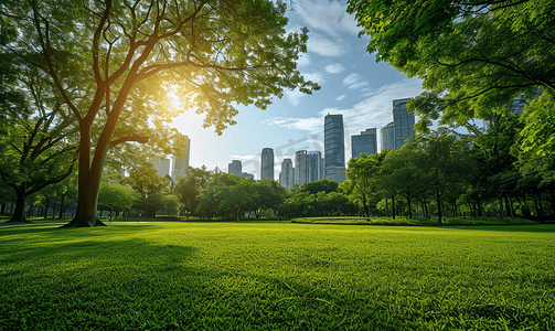 春天绿色素材摄影照片_阳光下的城市公园美景