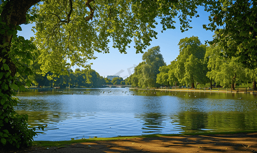 英国伦敦海德公园角落