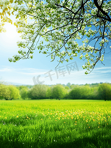 一簇草丛摄影照片_春天阳光复苏绿色草地