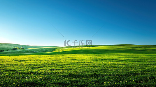 美丽的草原背景图片_春天晴朗天空的草原草地设计