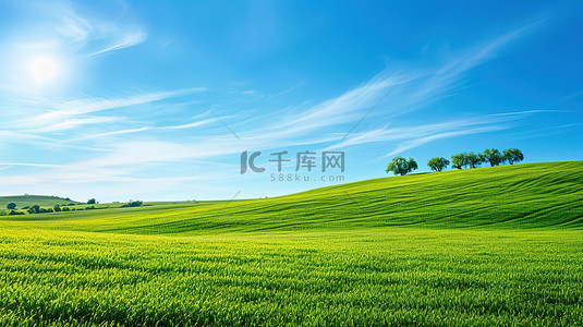 美丽的草原背景图片_春天晴朗天空的草原草地设计