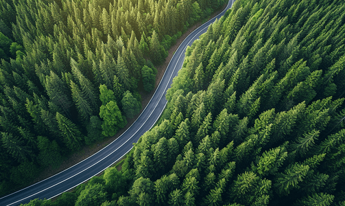 绿色自然公路摄影照片_穿过一片森林的省道鸟瞰图