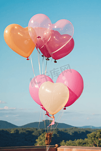 情人节告白气球摄像图7高清图片