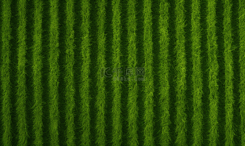 绿色简约植物拼接纹理背景