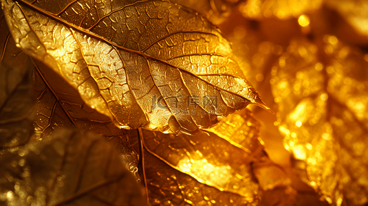 金色叶子背景背景图片_金色叶子质感纹理背景2